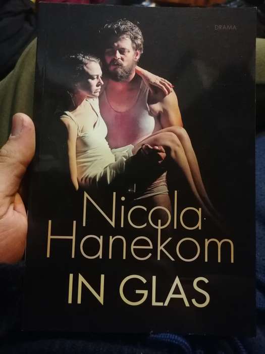 In glas deur Nicola Hanekom: n resensie Geteken