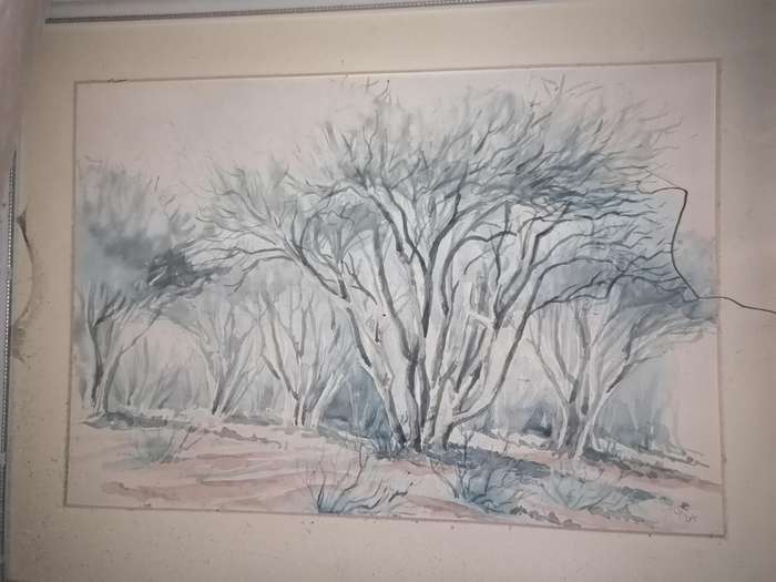 STUNNING 1964 WATERCOLOR FRAMED PAINTING SIGNED `on the schmidt drift road outside Kimberley`