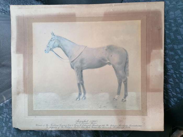 Antique horse racing picture