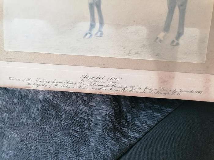 Antique horse racing picture