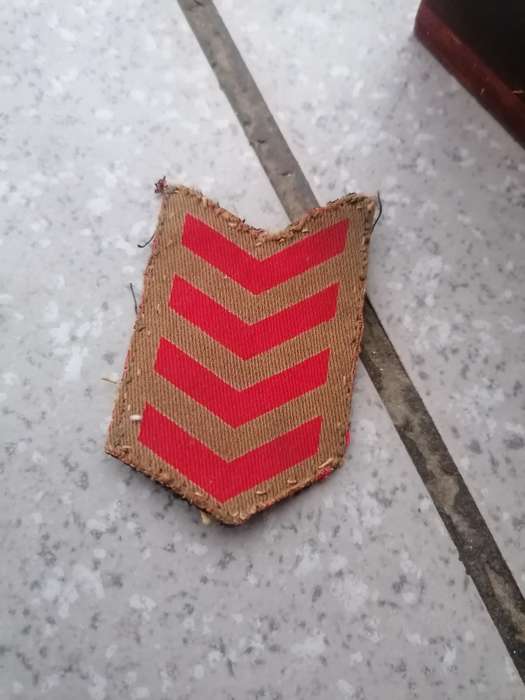 Sleeve badge