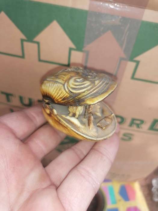 Vintage Japanese Celluloid Carving Clamshell