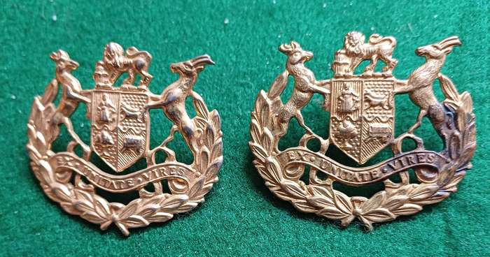 SADF, WO 1 brass sleeve badge pair