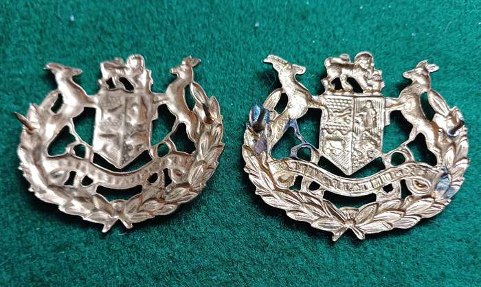 SADF, WO 1 brass sleeve badge pair