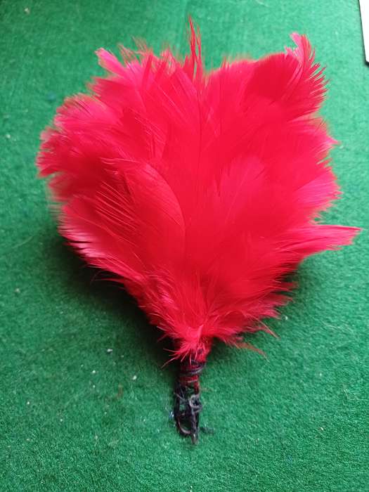 SA Transvaal Scottish red hackle