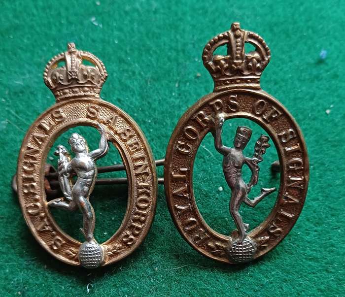 British Army, Royal Corps of Signals BiM collars