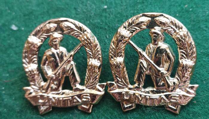 SADF Commando brass, (gold colour,) collars pair