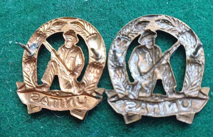 SADF Commando brass, (gold colour,) collars pair