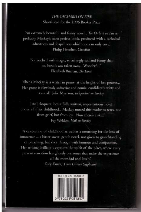 The Artist's Widow: A Novel -- Shena Mackay