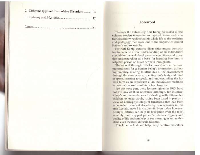 Being Human: Diagnosis in Curative Education - Karl König