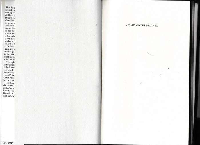 At my Mother's Knee -- Bridget Boland