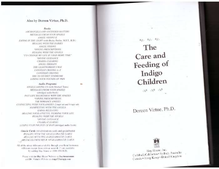 The Care and Feeding of Indigo Children  --  Doreen Virtue