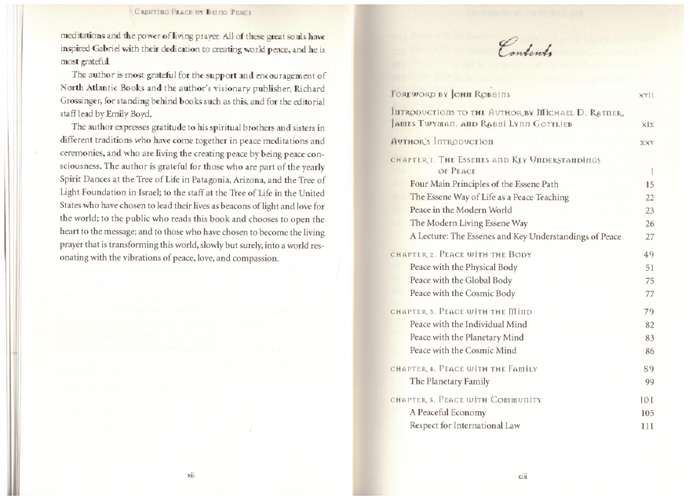 Creating Peace by Being Peace: The Essene Sevenfold Path - Gabriel Cousens