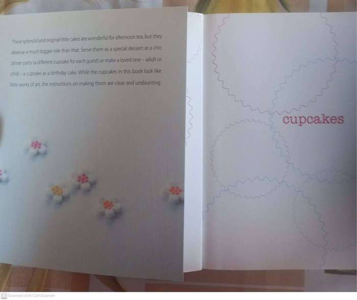 Cupcakes - Pamela Clark
