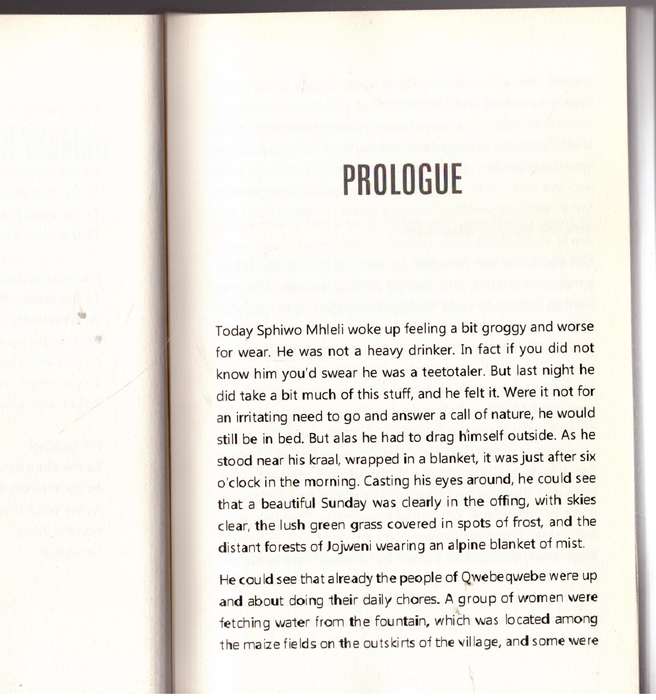 The Death of Nowongile - Monde Nkasawe **SIGNED**