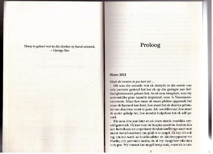 Die Versoening  - Beverly Lewis