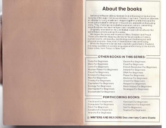 Einstein for Beginners - Joseph Schwartz, Michael McGuinness