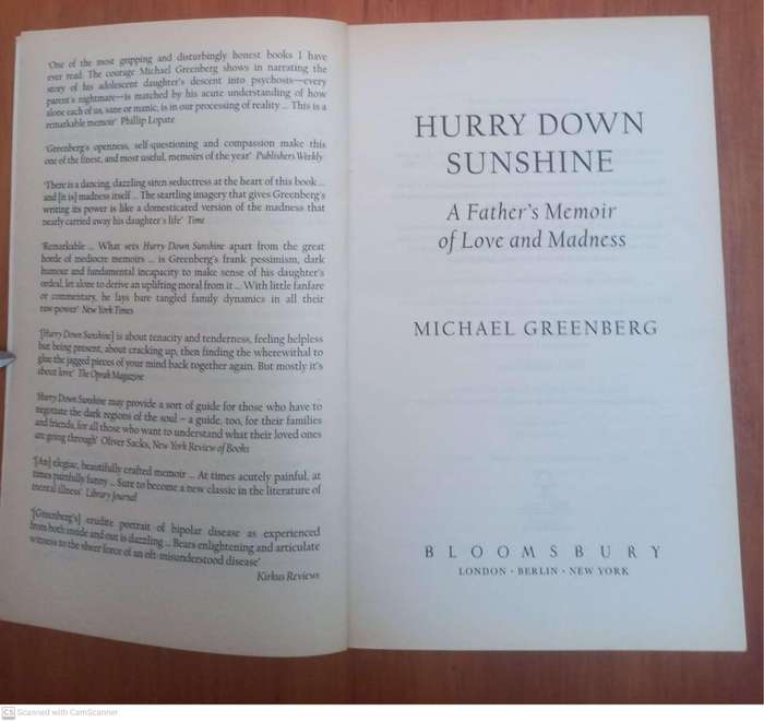 Hurry Down Sunshine: A Father's Memoir of Love and Madness -- Michael Greenberg
