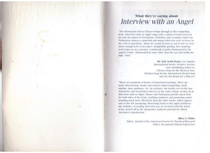 Interview with an Angel: Our World, Ourselves, Our Destiny - Stevan J. Thayer, Linda Sue Nathanson
