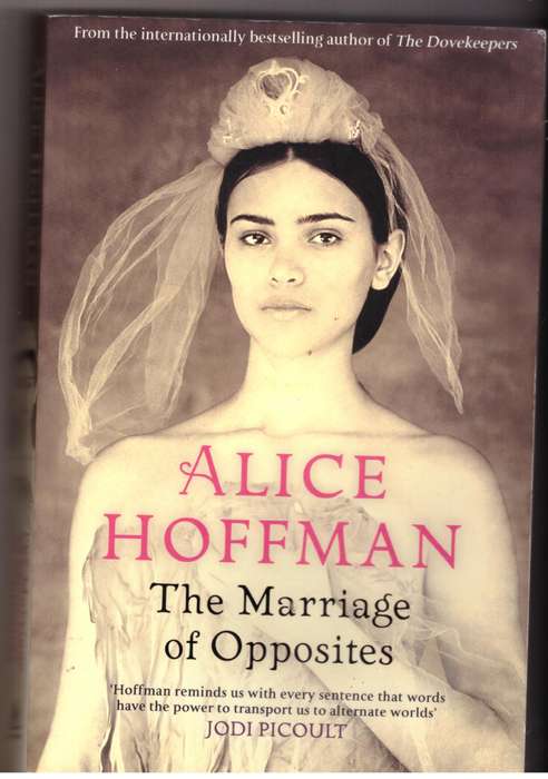The Marriage of Opposites  Alice Hoffman