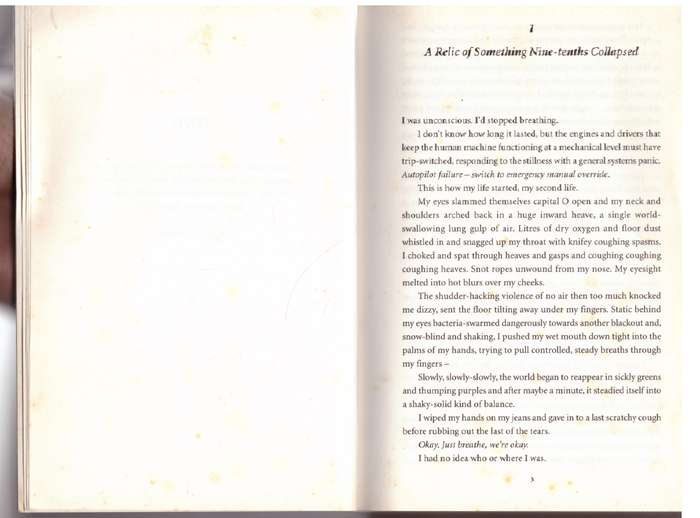The Raw Shark Texts - Steven Hall