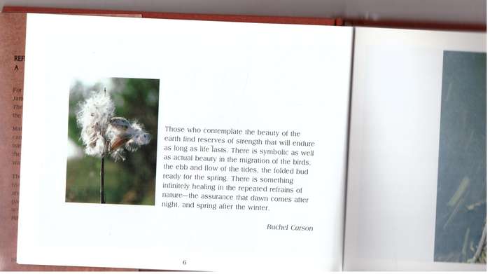Reflections of Madison County: A Visual Journey  --  Mark F. Heffron