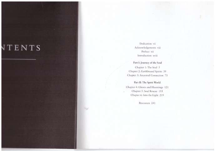 Soul Rescuers: A 21st century guide to the spirit world - Terry OSullivan, Natalia OSullivan