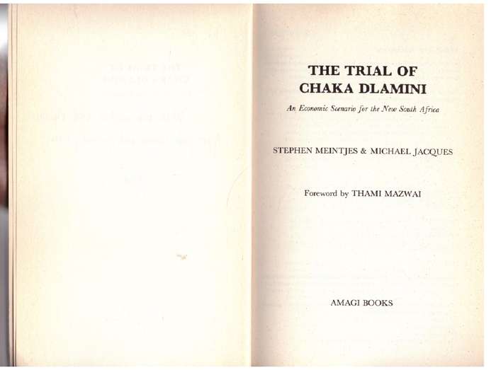 The Trial of Chaka Dlamini - Stephen Meintjes, Michael Jacques