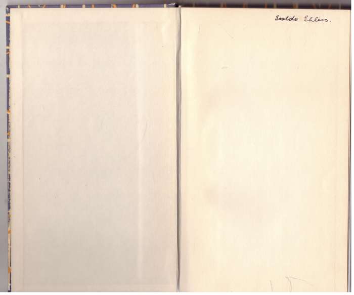 Vreemdeling in my Stad: Essays -- Freda Linde