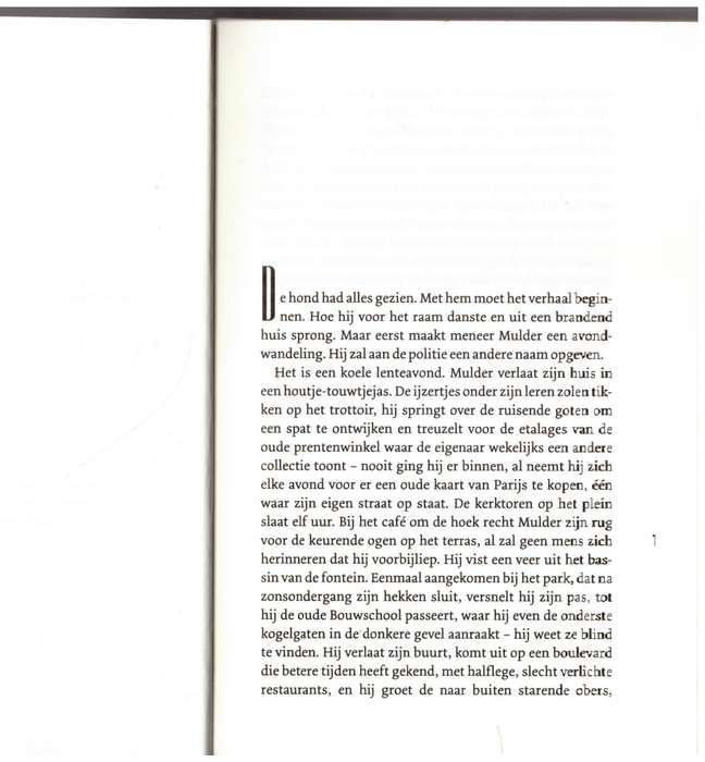 De wandelaar: roman  -  Adriaan Van Dis