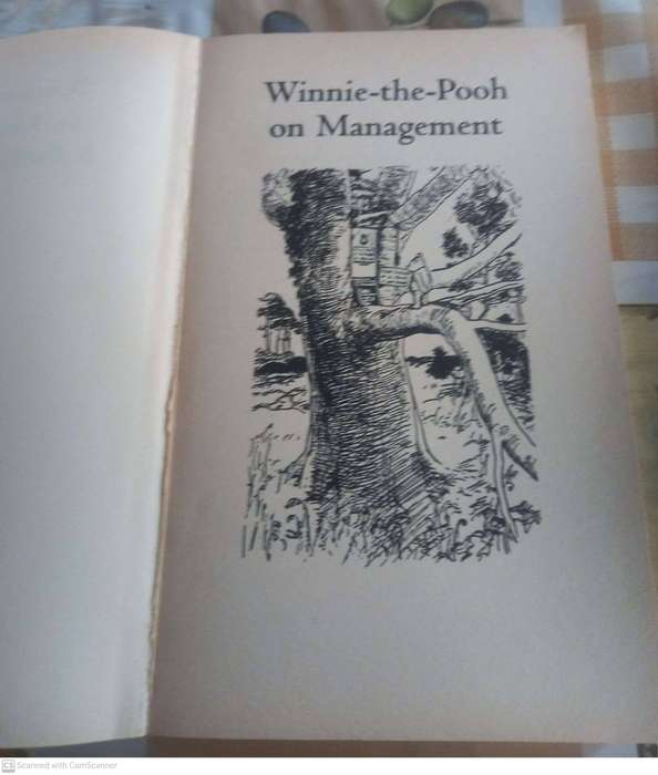 Winnie-the-Pooh on management and problem solving -- Roger E. Allen,Stephen D. Allen