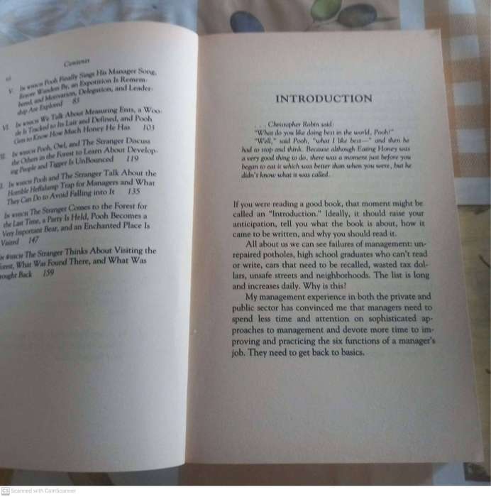 Winnie-the-Pooh on management and problem solving -- Roger E. Allen,Stephen D. Allen