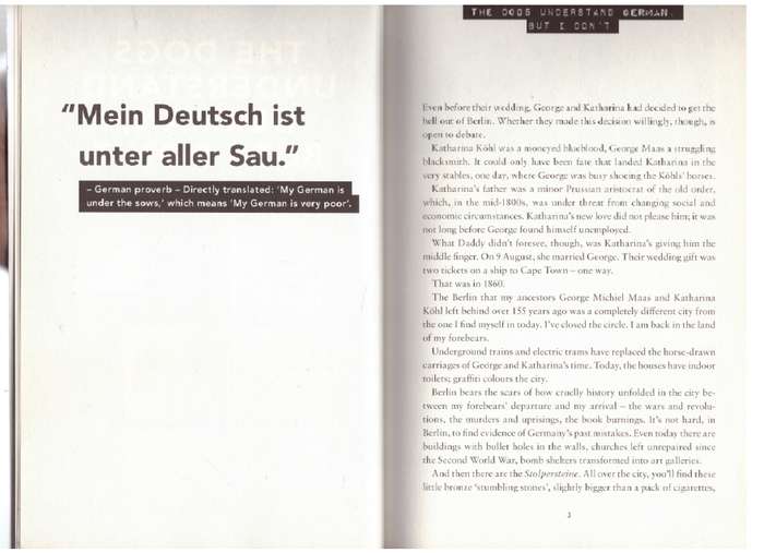 Witboy in Berlin: Adventures in the First World - Deon Maas