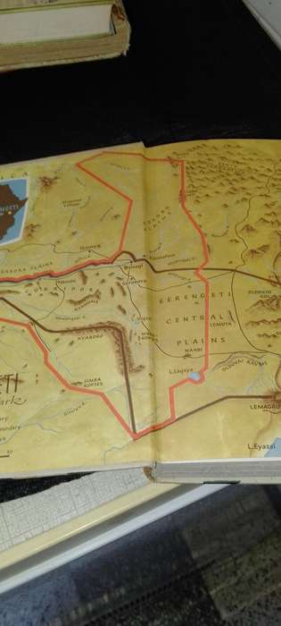 Serengeti will not die. Good read.