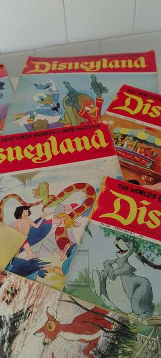 7x Disneyland magazines.