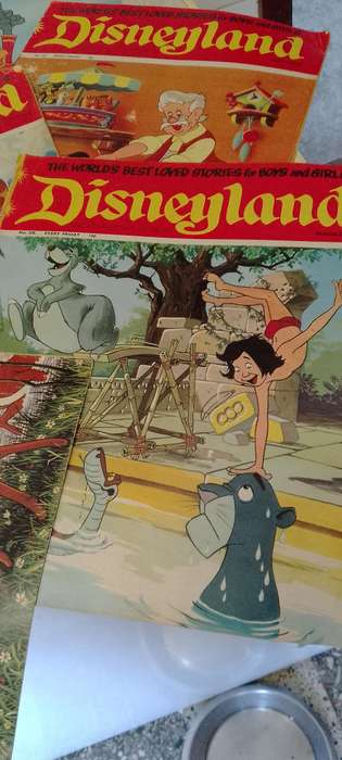7x Disneyland magazines.