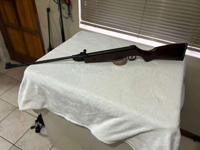 Pellet gun