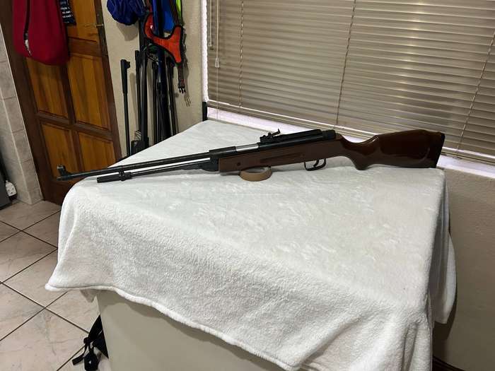 Pellet Gun