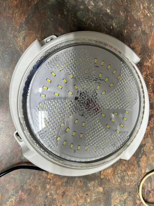 Solar light lot