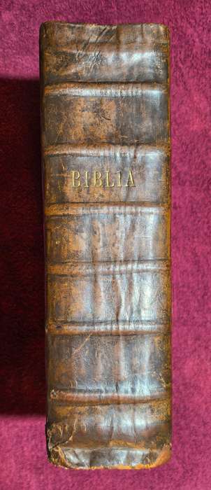 1690 Nederlandse Statebybel  /  1690 Antique Dutch Bible