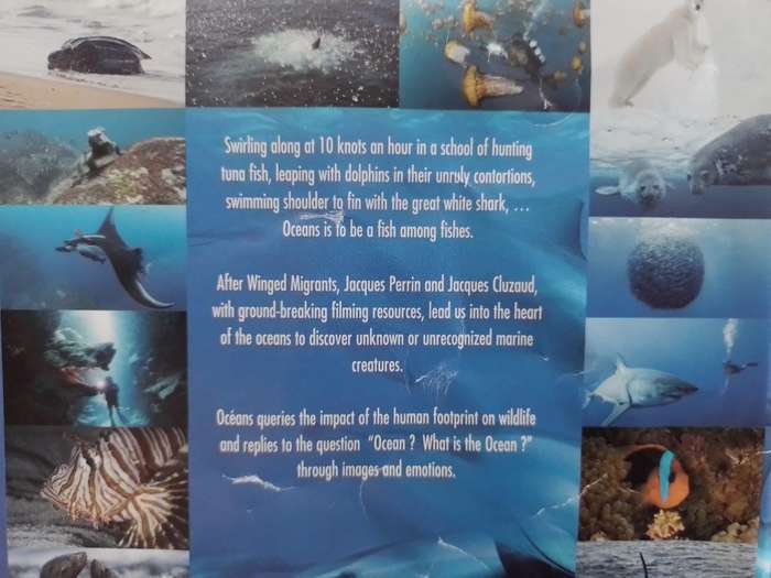 Blu-ray - Oceans