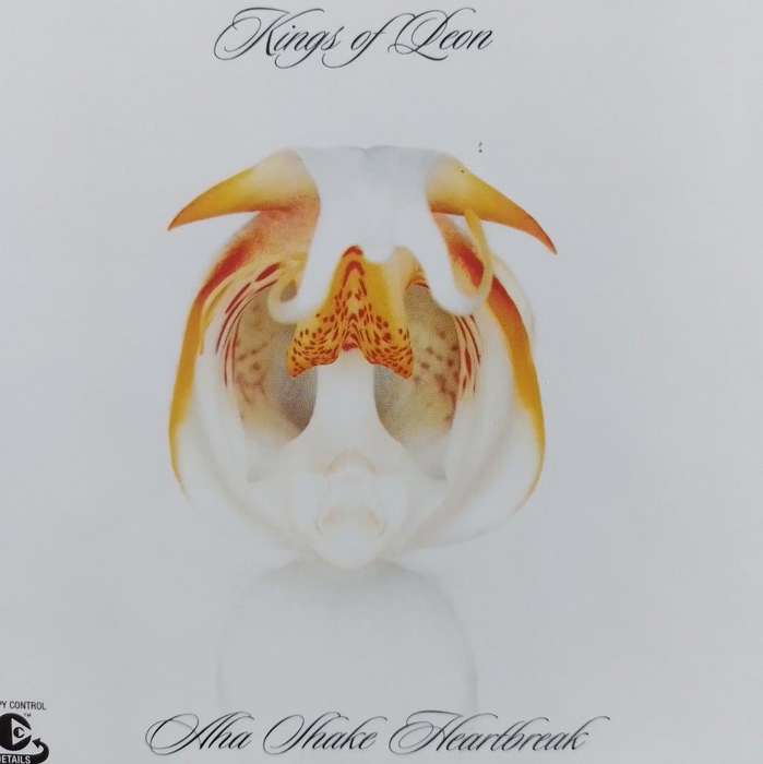CD - Kings Of Leon - Aha Shake Heartbreak