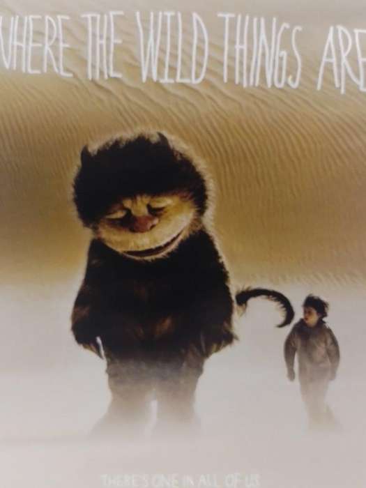 DVD - Where The Wild Things Are