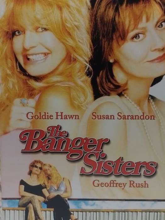 DVD - The Banger Sisters Goldie Hwan Susan Sarandon