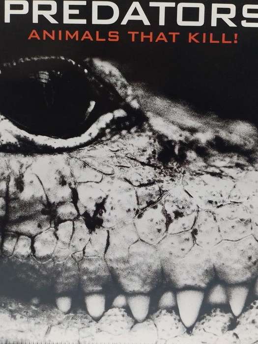 DVD - Predators Animals That Kill