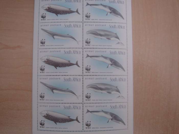 1998 RSA - Whales Booklet with sheet of 2 x 10 airmail postcard stamps MNH