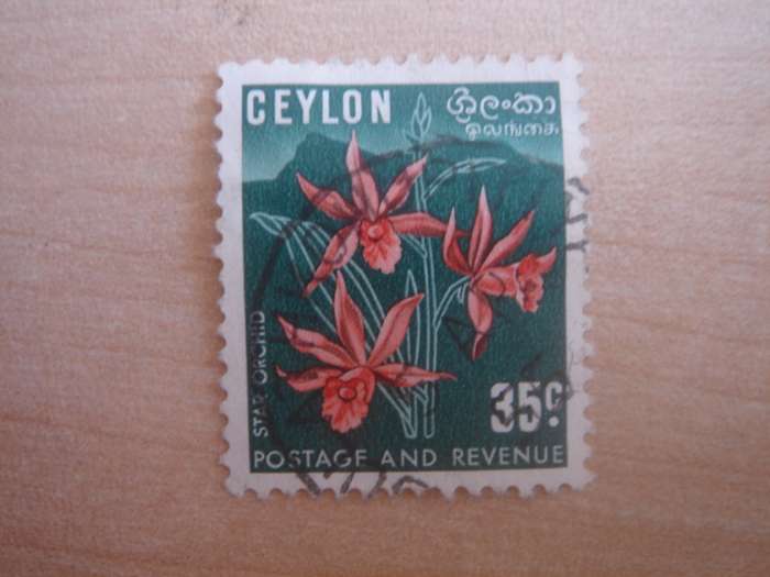 1951 Ceylon - Star Orchid SG424a - 35 c used, stamped