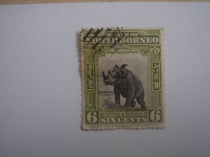 1909 North Borneo - Rhinoceros SG282 - used, stamped