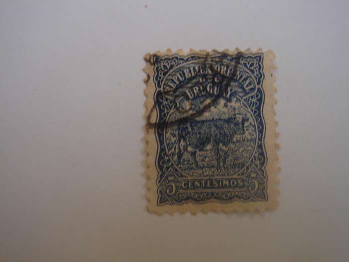 1904 Uruguay - Cattle 5 c SG254 used, stamped