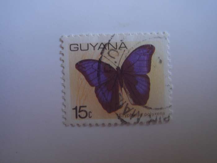 1978 Guyana - Butterfly 15 c - SG700 used, stamped